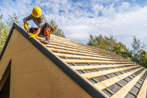 Best Roof Gutter Cleaning  in Shady Hills, FL