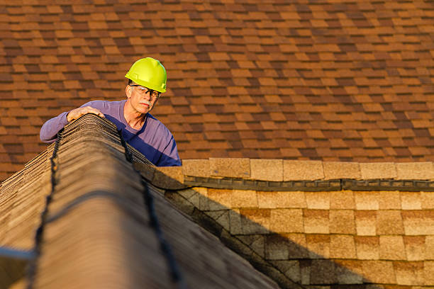 Best Shingle Roofing Installation  in Shady Hills, FL