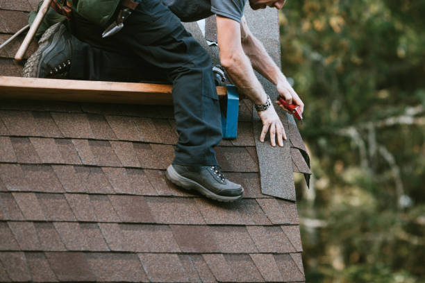Best Flat Roof Repair Services  in Shady Hills, FL